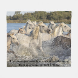 Camargue Horse Alte Rasse Frankreich Reittier Fleecedecke