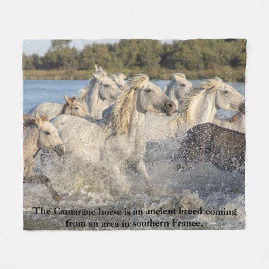 Camargue Horse Alte Rasse Frankreich Reittier Fleecedecke (Vorderseite (Horizontal))