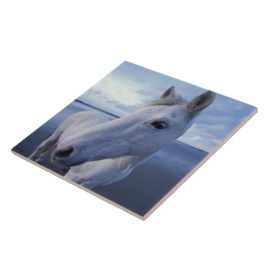 Camargue Horse Fliese (Seite)