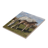 Camargue Horse Foal mit Mutter Fliese (Seite)