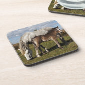 Camargue Horse Foal mit Mutter Getränkeuntersetzer (Linke Seite)