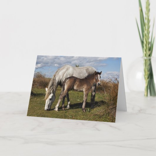 Camargue Horse Foal mit Mutter Karte (Vorderseite)