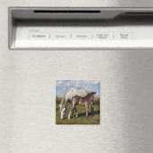 Camargue Horse Foal mit Mutter Magnet (In Situ (Geschirrspüler))