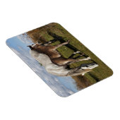 Camargue Horse Foal mit Mutter Magnet (Rechte Seite)