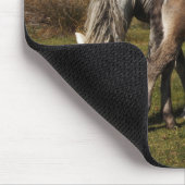 Camargue Horse Foal mit Mutter Mousepad (Ecke)