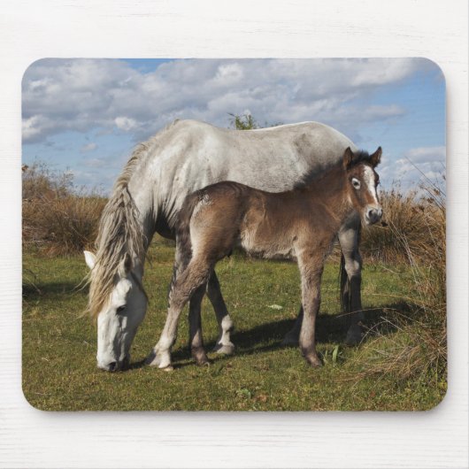 Camargue Horse Foal mit Mutter Mousepad (Vorne)