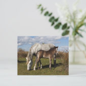 Camargue Horse Foal mit Mutter Postkarte (Stehend Vorderseite)