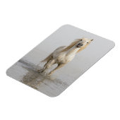Camargue Horse im Wasser Magnet (Linke Seite)