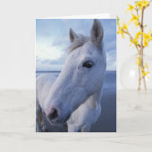 Camargue Horse Karte (Gelbe Blume)