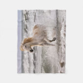 Camargue Horse läuft aus dem Surf Fleecedecke (Vorderseite)