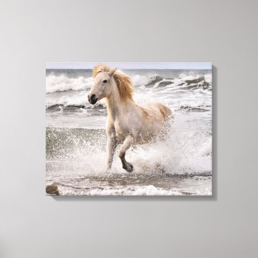 Camargue Horse läuft aus dem Surf Leinwanddruck (Vorderseite)