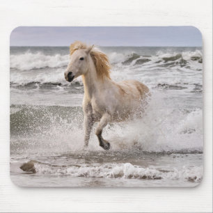 Camargue Horse läuft aus dem Surf Mousepad