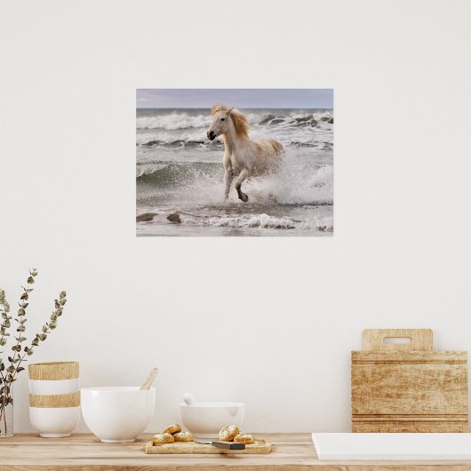 Camargue Horse läuft aus dem Surf Poster (Küche)