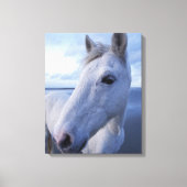 Camargue Horse Leinwanddruck (Vorderseite)