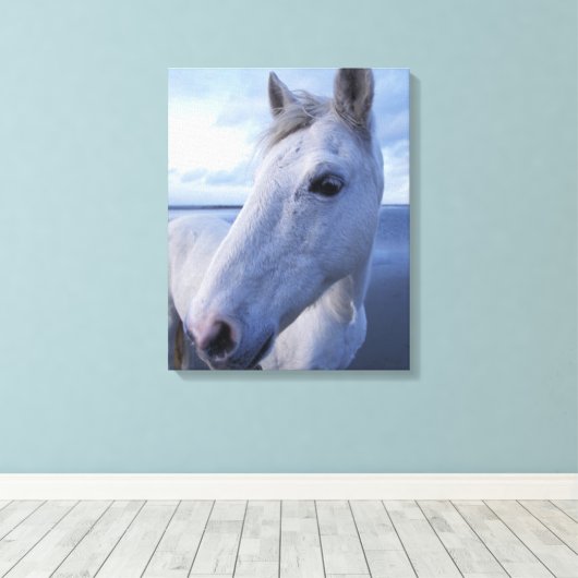 Camargue Horse Leinwanddruck (Insitu (Holzboden))