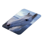 Camargue Horse Magnet (Linke Seite)