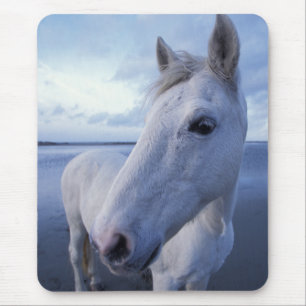 Camargue Horse Mousepad
