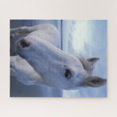Camargue Horse Puzzle (Horizontal)