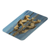 Camargue Horses and Reflection, Südfrankreich Magnet (Linke Seite)