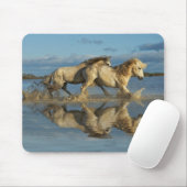 Camargue Horses and Reflection, Südfrankreich Mousepad (Mit Mouse)
