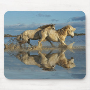 Camargue Horses and Reflection, Südfrankreich Mousepad