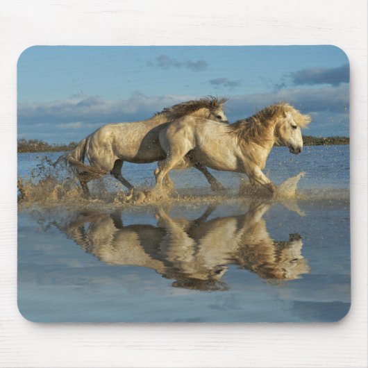 Camargue Horses and Reflection, Südfrankreich Mousepad (Vorne)