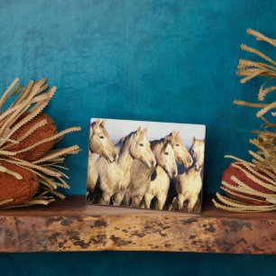 Camargue Horses (Eguus caballus) Fotoplatte