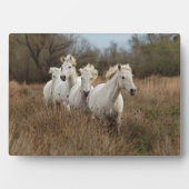 Camargue Horses Running Fotoplatte (Vorderseite)