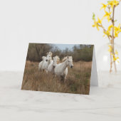 Camargue Horses Running Karte (Gelbe Blume)