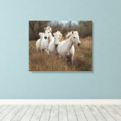 Camargue Horses Running Leinwanddruck (Insitu (Holzboden))