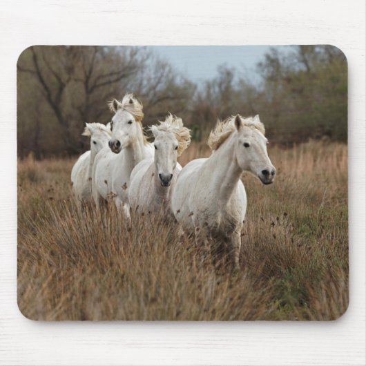 Camargue Horses Running Mousepad (Vorne)