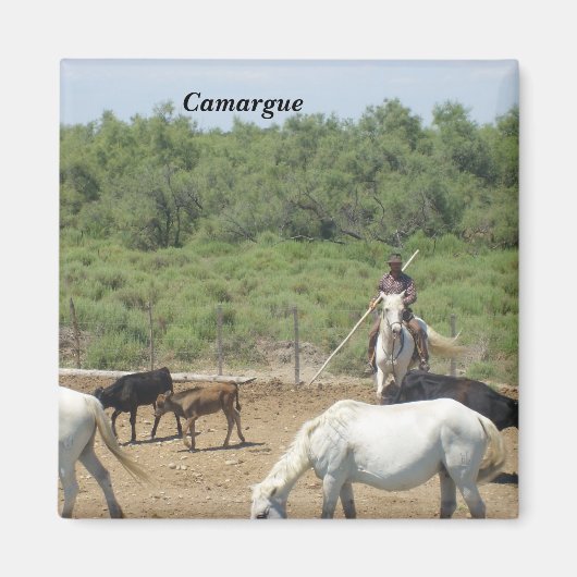Camargue Magnet (Vorne)