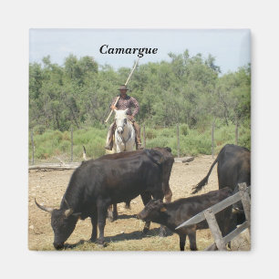 Camargue - magnet