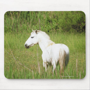 Camargue Pferd im Alpes Cote d'Azur von Mousepad