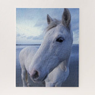 Camargue-Pferd Puzzle