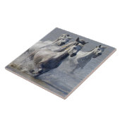 Camargue Pferde, die auf Marschland laufen, um zu Fliese (Seite)