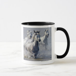 Camargue Pferde, die auf Marschland laufen, um zu Tasse