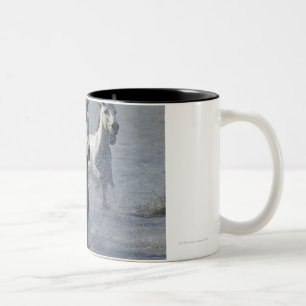 Camargue Pferde, die auf Marschland laufen, um zu Zweifarbige Tasse