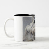 Camargue Pferde, die auf Marschland laufen, um zu Zweifarbige Tasse (Links)