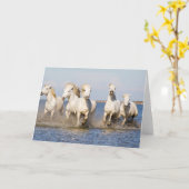 Camargue Pferde Karte (Gelbe Blume)