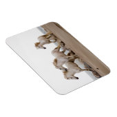 Camargue Pferde laufen am Strand Magnet (Rechte Seite)