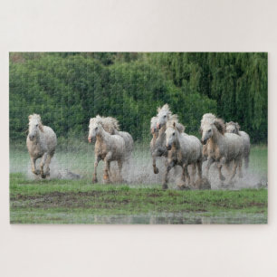 Camargue-Pferde laufen im Wasser Puzzle