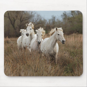 Camargue-Pferde laufen Mousepad