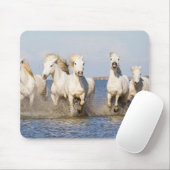 Camargue Pferde Mousepad (Mit Mouse)