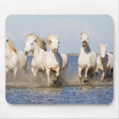 Camargue Pferde Mousepad (Vorne)