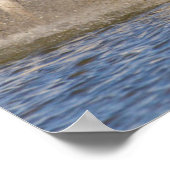 Camargue Pferde Poster (Ecke)