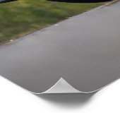 Camaro Poster (Ecke)