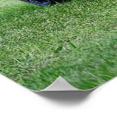 Camaro ZL1 Poster (Ecke)