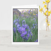Camas-Blüten Karte (Gelbe Blume)