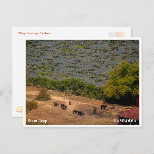 Cambodian Village Landscape Postcard Feiertagspostkarte (Vorne/Hinten)